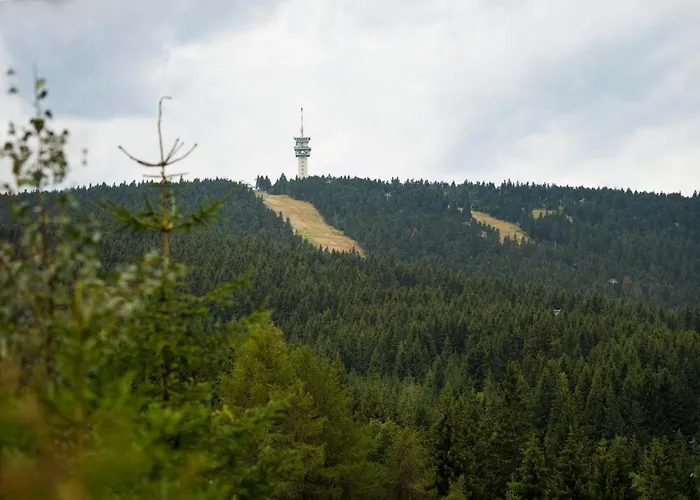 Na Skalce - Haj